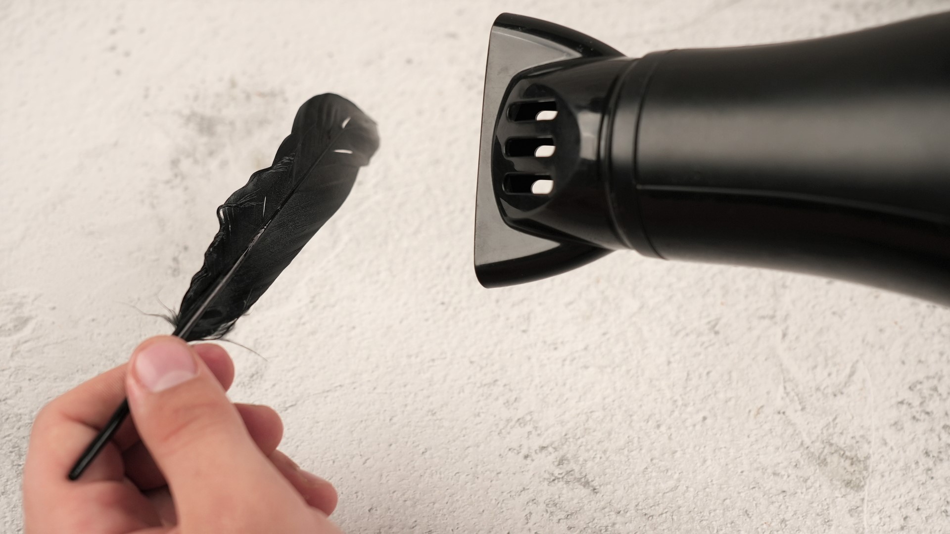 How to Clean a Feather: 7 Steps