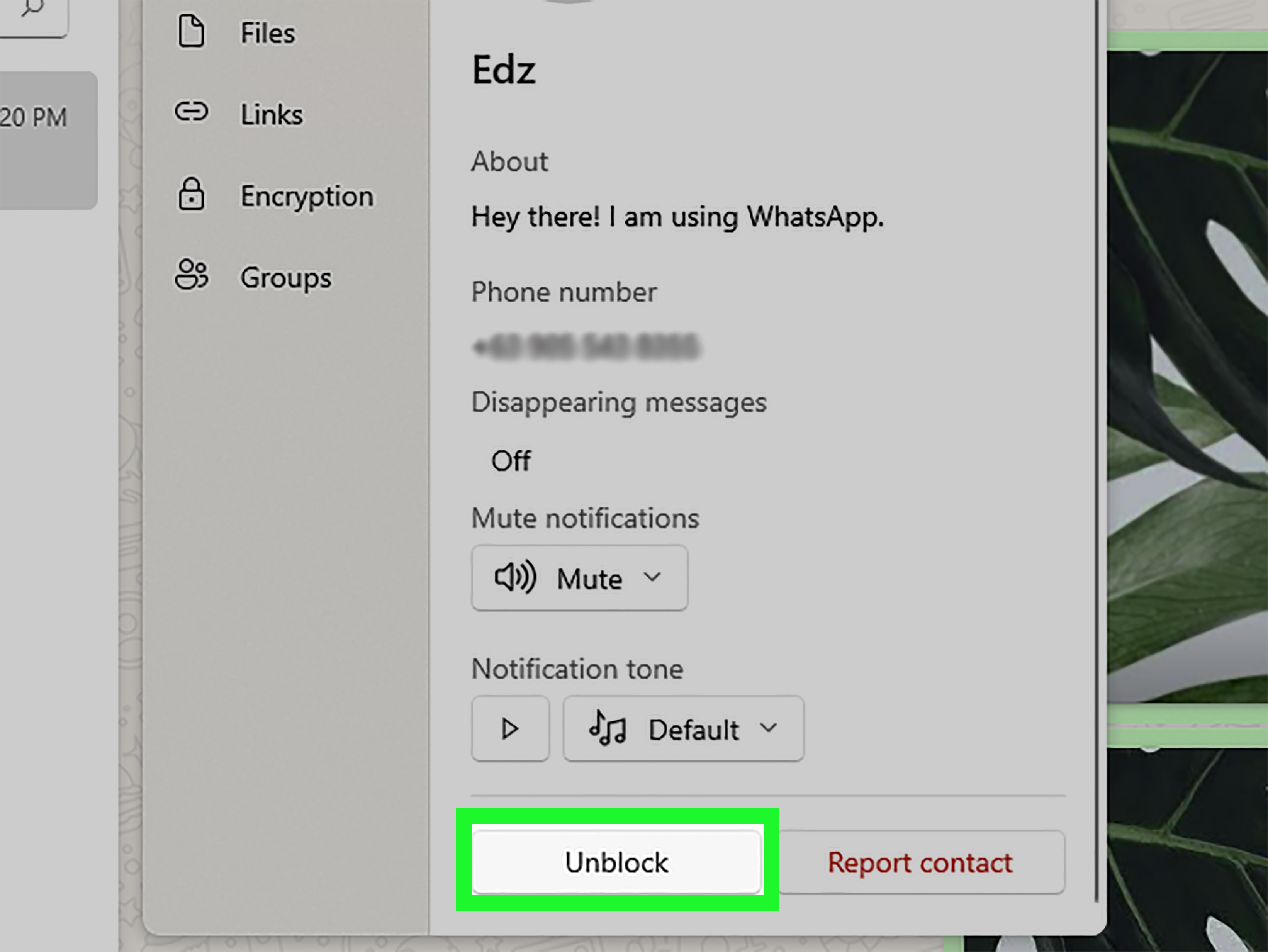 How to Unblock People on WhatsApp: iPhone, Android, or PC
