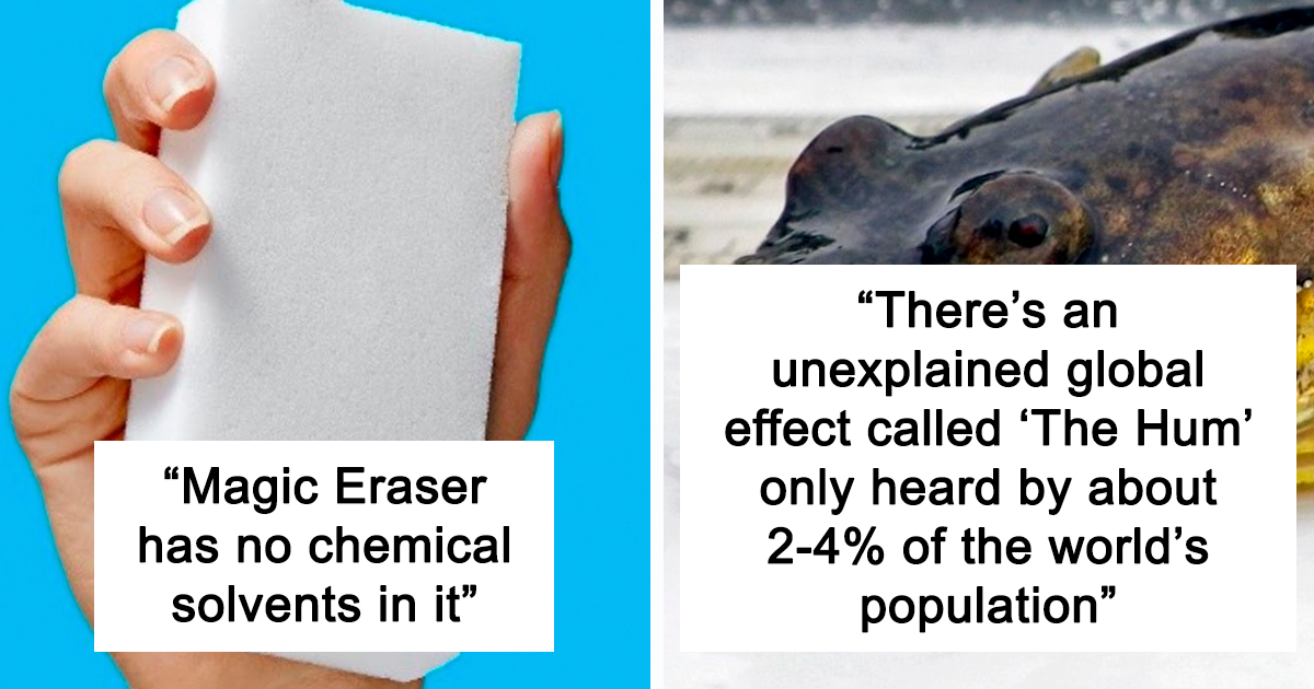 “Today I Learned”: People Share 40 New Curious Facts You Can Learn Today Too