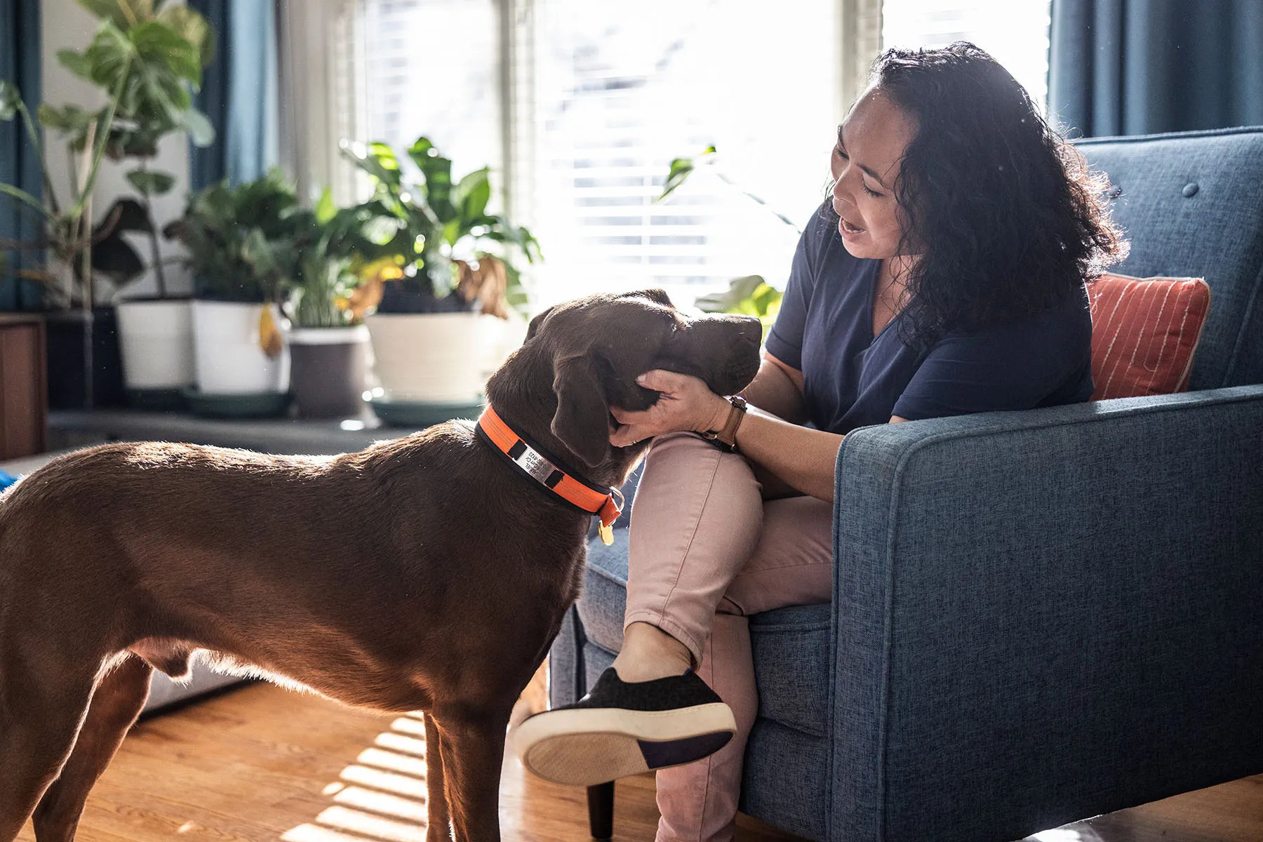 How to Choose the Right Collar for Your Dog