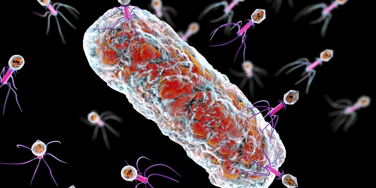 New Study Shows Antibiotics Could Be Replaced With Viruses
