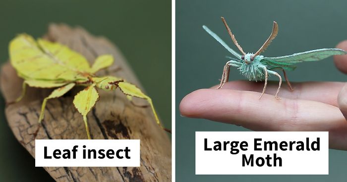 I Use My Unique Technique To Create Realistic Animals And Plants From Paper (34 New Pics)