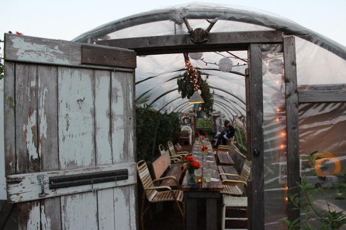 A Starlit Greenhouse Dinner, Martha’s Vineyard Edition