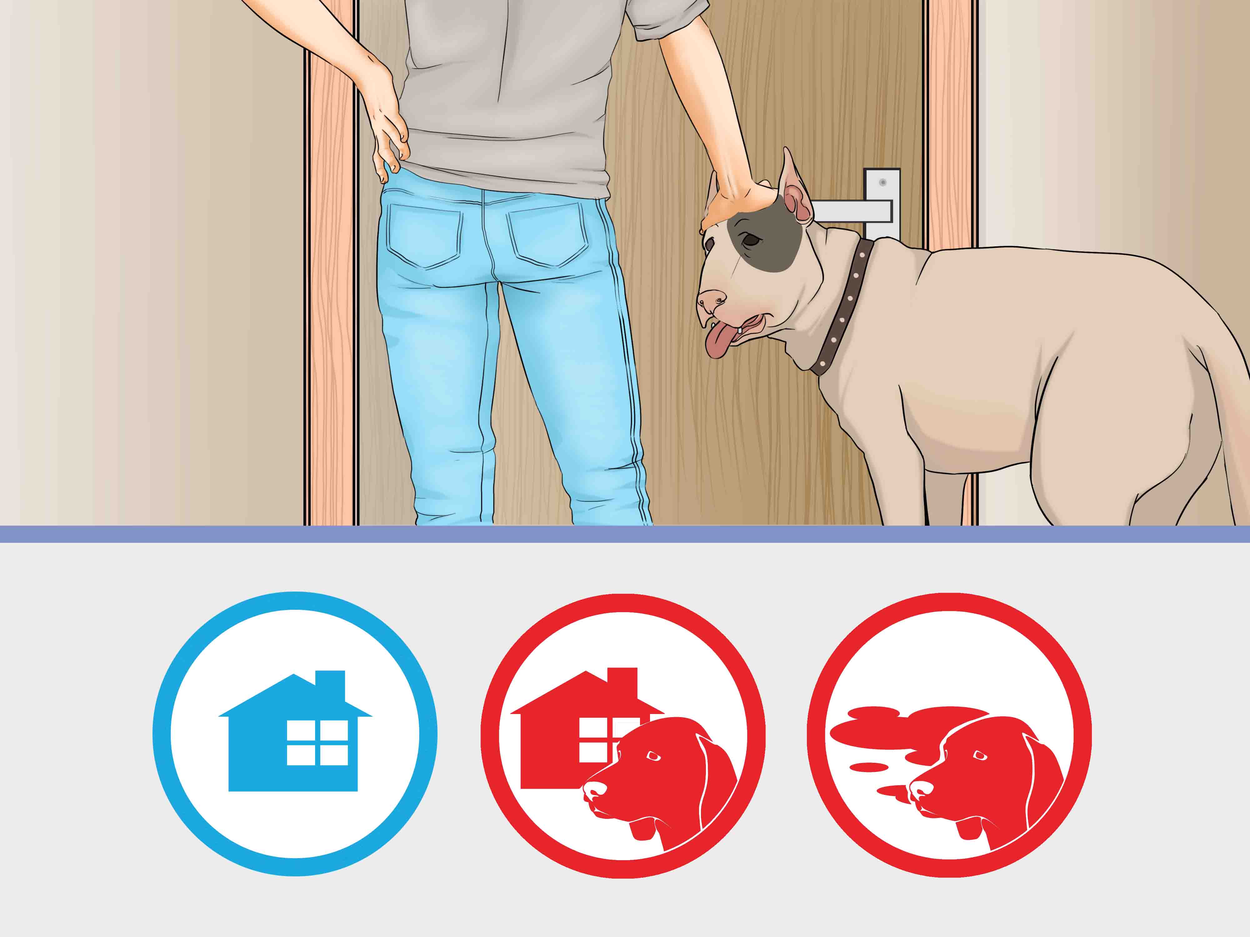 How to Bathe a Dog in a Shower