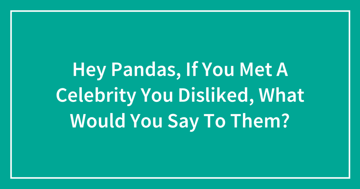 Hey Pandas, If You Met A Celebrity You Disliked, What Would You Say To Them?