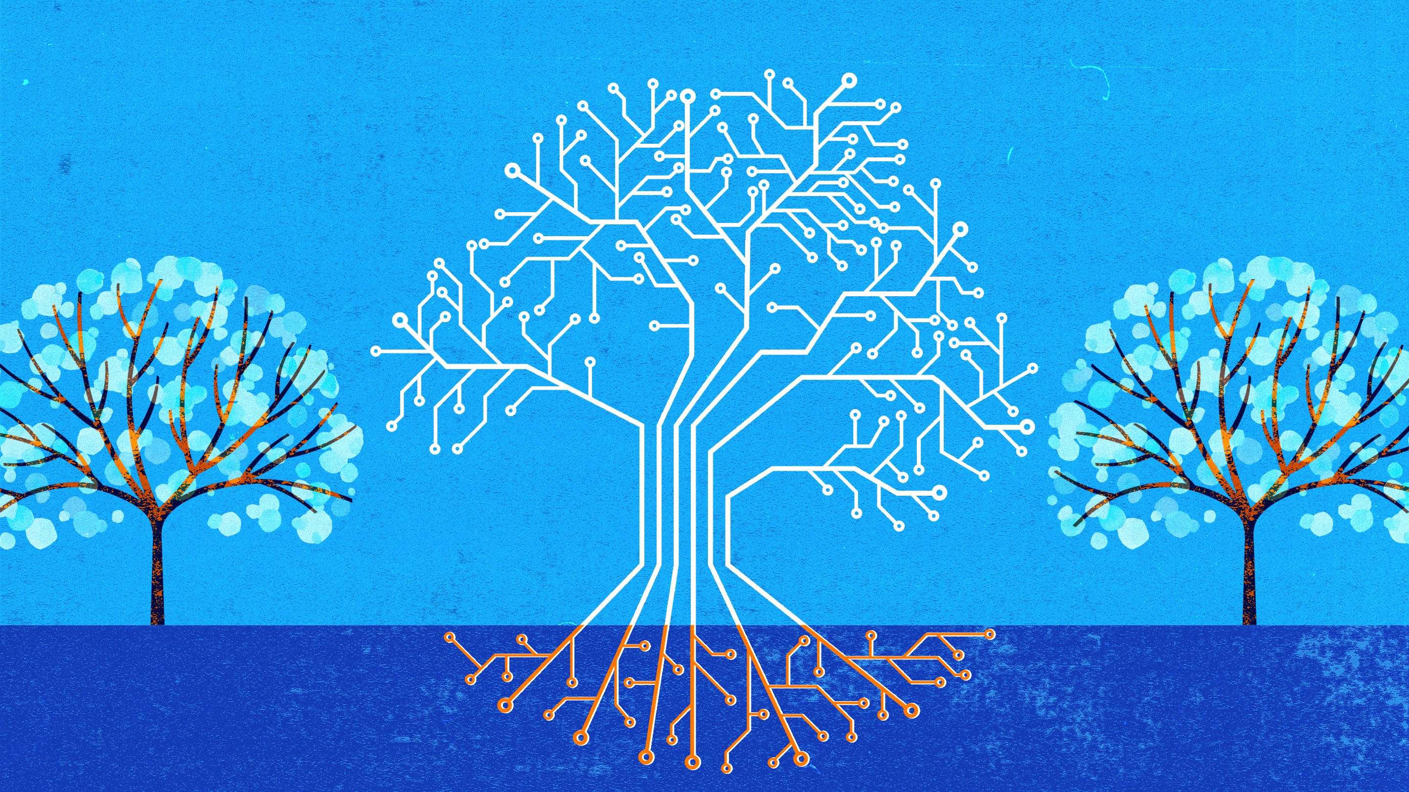 Teaching the Environmental Impact of AI Through PBL