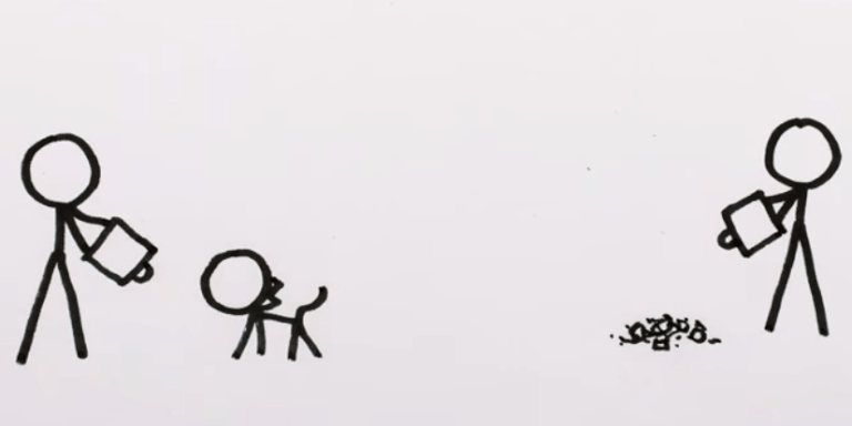 How Quantum Teleportation Actually Works