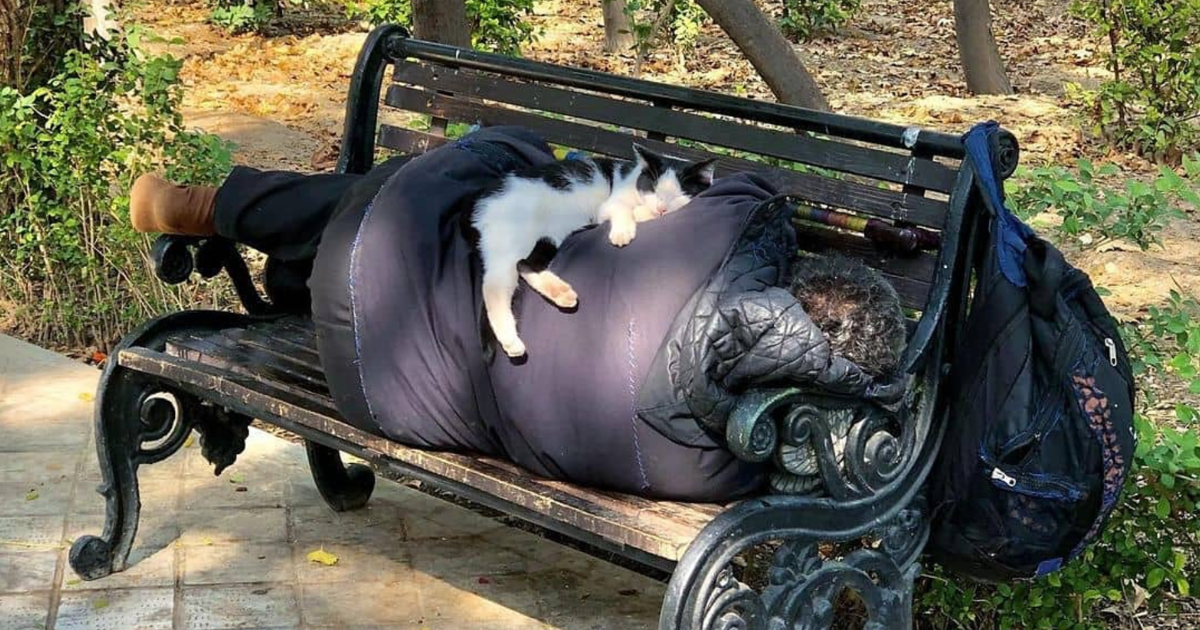 This Instagram Page Collects Hilarious And Wholesome Animal Photos, And Here Are 40 Of The Best Ones